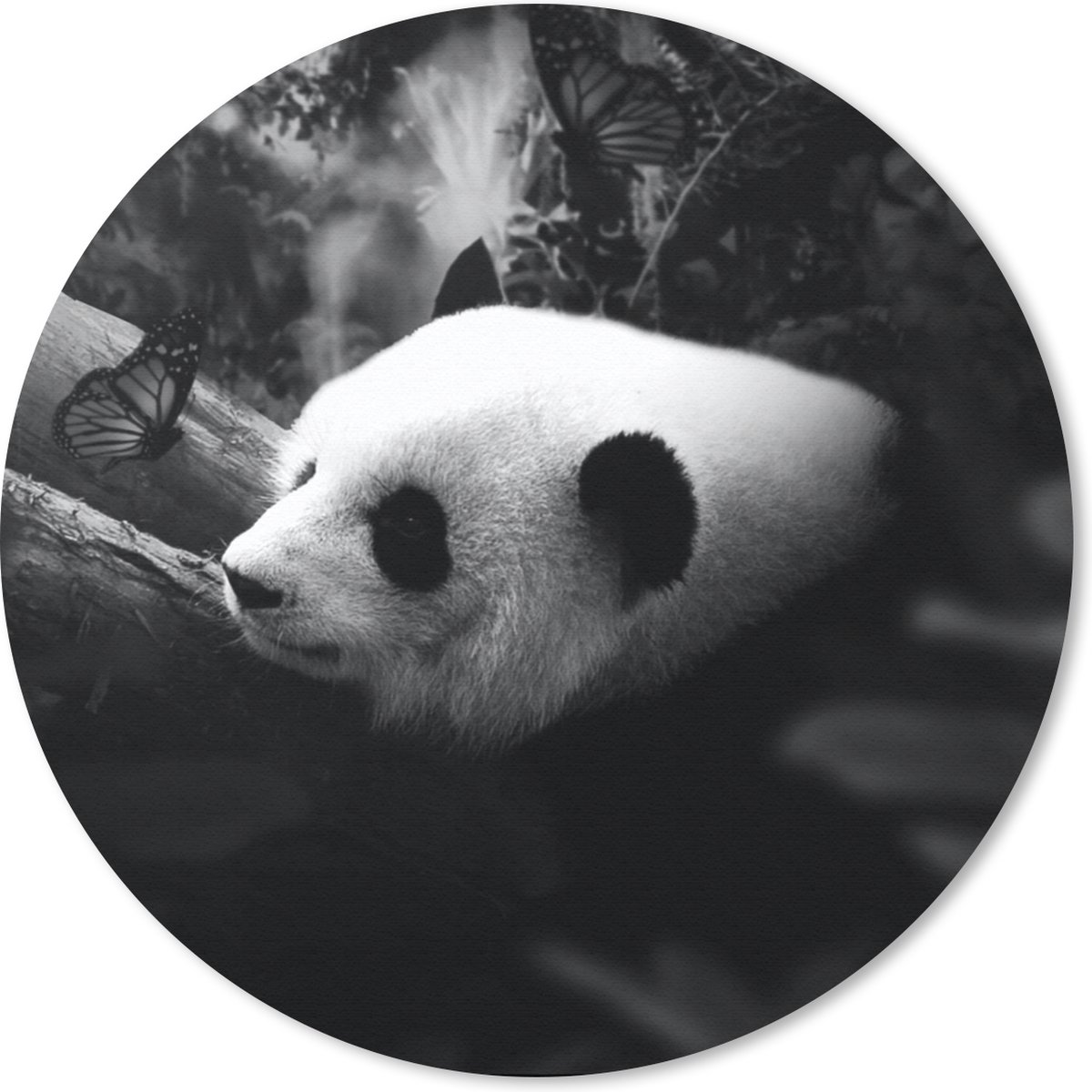 Muismat rond 30x30 cm - Mousepad Dieren - Jungle - Panda - Zwart - Wit - Ronde muismatten