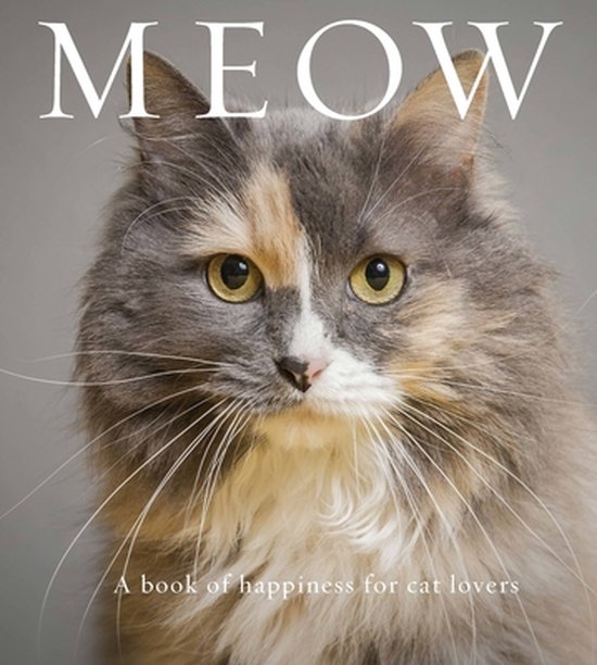 Meow - cover