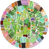 clins d'oeil | Autocollants Cactus & Succulentes | 50 pièces | Plantes, Fleurs| Mélange d'autocollants pour ordinateur portable, skateboard, mur, miroir, etc.