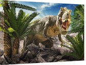 Dinosaurus T-Rex tropical attack - Foto op Dibond - 60 x 40 cm