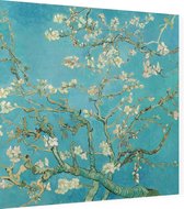 Amandelbloesem, Vincent van Gogh - Foto op Dibond - 60 x 60 cm