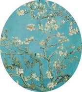 Amandelbloesem, Vincent van Gogh - Foto op Dibond - ⌀ 60 cm