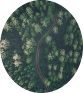 Droneshot van een bos - Foto op Dibond - ⌀ 40 cm