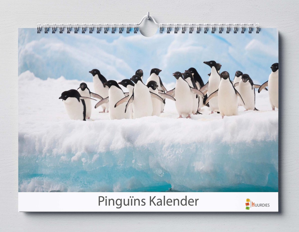 Pinguïns kalender 35x24 cm | Verjaardagskalender Pinguïns | De mooiste Pinguïn foto's | Verjaardagskalender Volwassenen