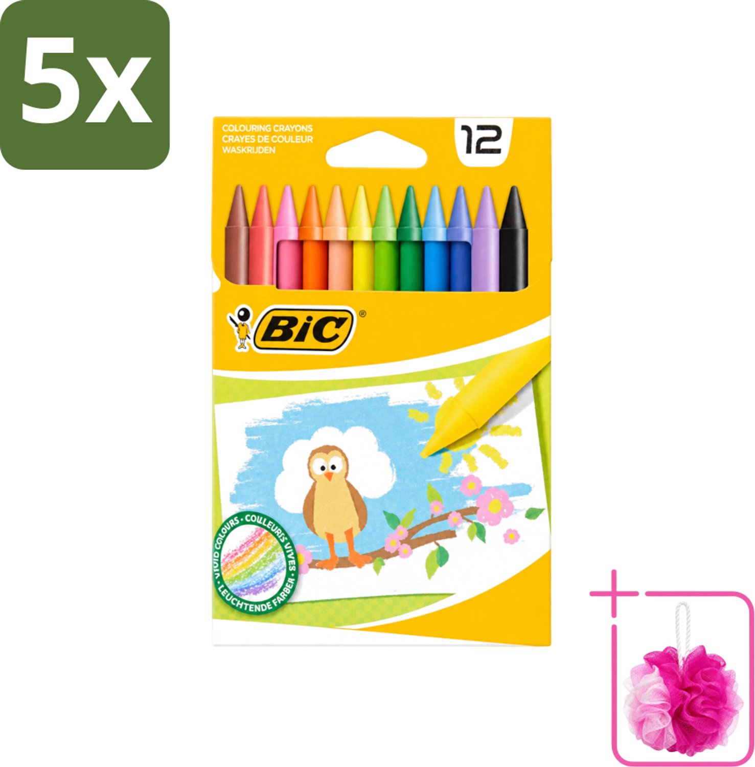 5 x BIC - Waskrijt - Diverse Kleuren - 12 Krijtjes - Bulkverpakking - Waskrijt - Douchemop - Kleurkrijt
