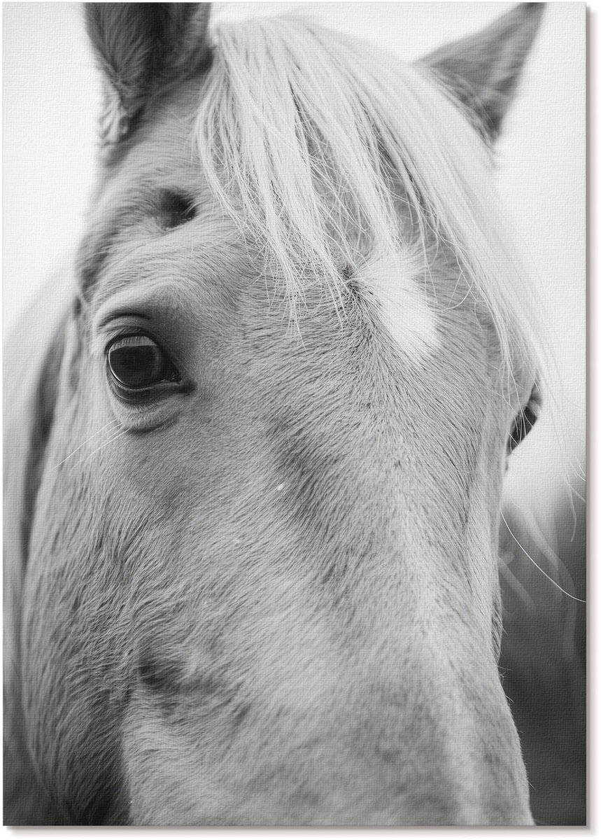 Tulup Polycanvas Wandposter - Paardenportret, Fotografie - A4 - Zwart-wit Kunst - Rechthoek - Interieurdecoratie - Woonkamer, Slaapkamer, Kantoor - Klassiek