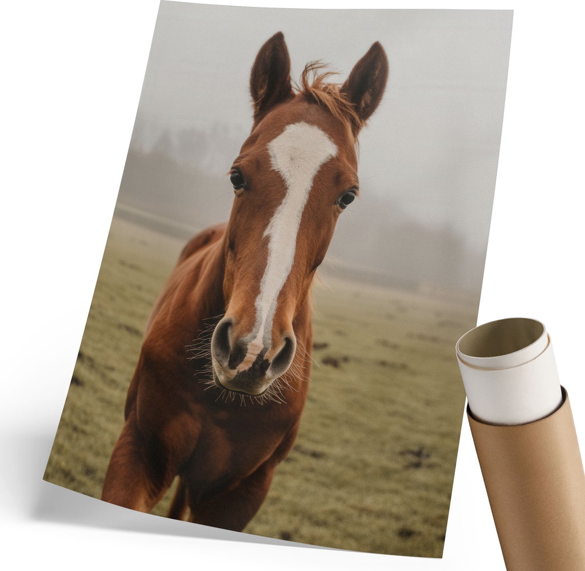 Coloray Polycanvas Wandposter - Paardenportret, Fotografie - 210 x 297 mm - Bruin Kunst - Rechthoek - Canvasposter - Woonkamer, Slaapkamer, Kantoor - Klassiek