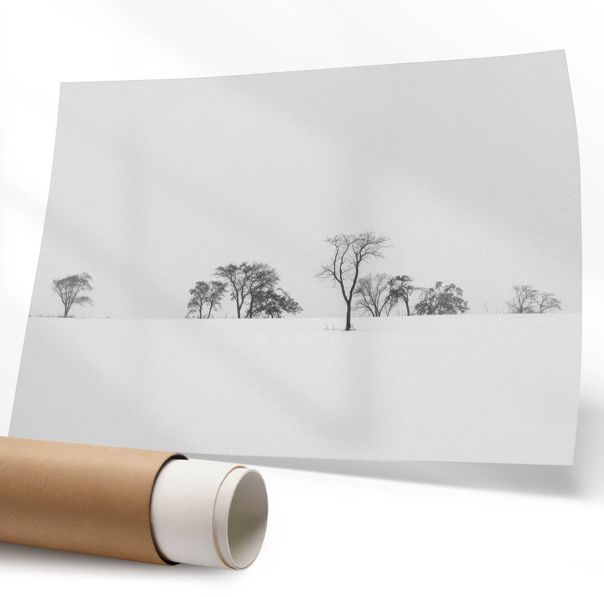 Coloray Polycanvas Wandposter – Bomen in de Winter, Zwart-Wit – 594 x 840 mm – Zwart Patroon – Rechthoek – Canvas Wandposter – Kantoor – Popcultuur