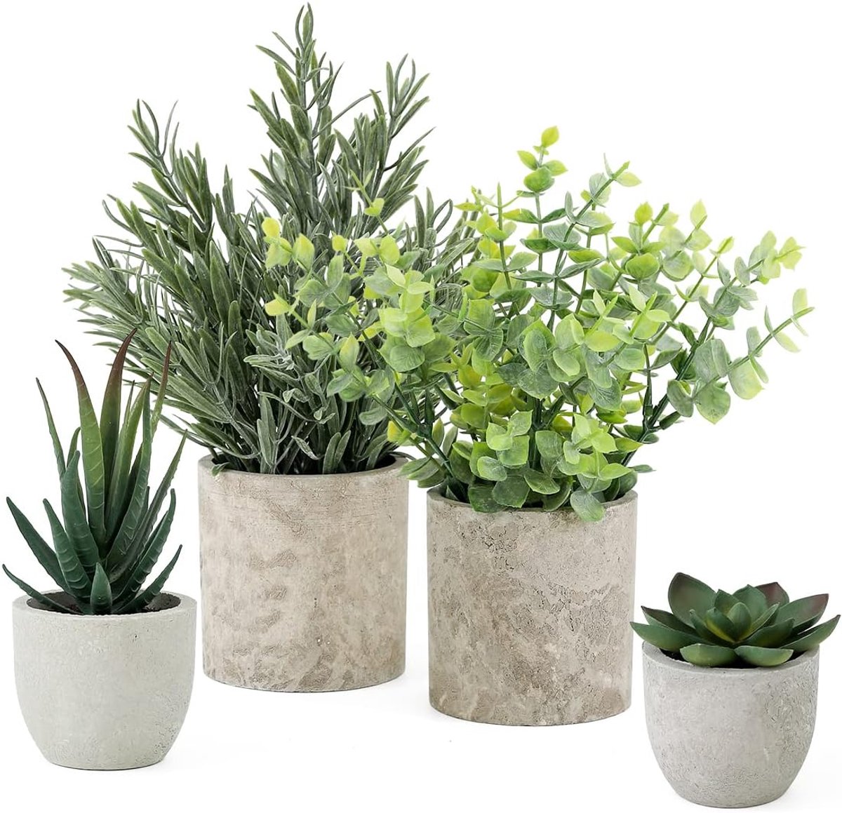 Eucalyptus - Set van 4 - Binnen en Buiten