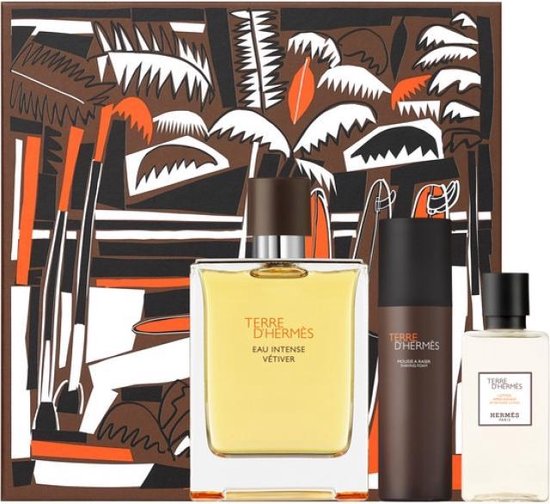 Hermes - Terre D'Hermes Eau Intense Vetiver - Coffret Cadeau - 100 ml Eau  De Parfum +... | bol.com
