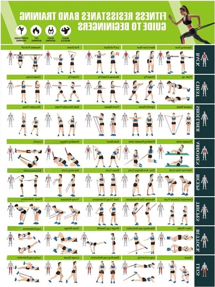 Workout Posters - Fitness Gids - Thuis Trainen - Geïllustreerde Bewegingen - 24x36 inch - Niet gespecificeerd