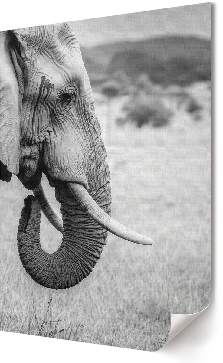 Coloray Polycanvas Wandposter - Afrikaanse Olifant, Fotografie - 594 x 840 - Zwart-wit Design - Rechthoek - Canvasposter - Woonkamer - Klassiek
