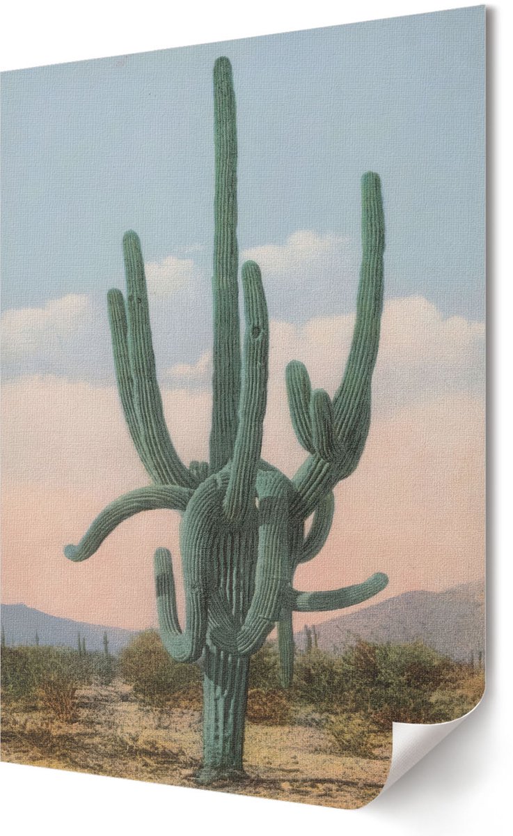 Coloray Polycanvas Poster - Grote Cactus, Fotografie - 420 x 594 - Groen Wandposter - Rechthoek - Muurdecoratie - Woonkamer, Slaapkamer, Kantoor - Vintage