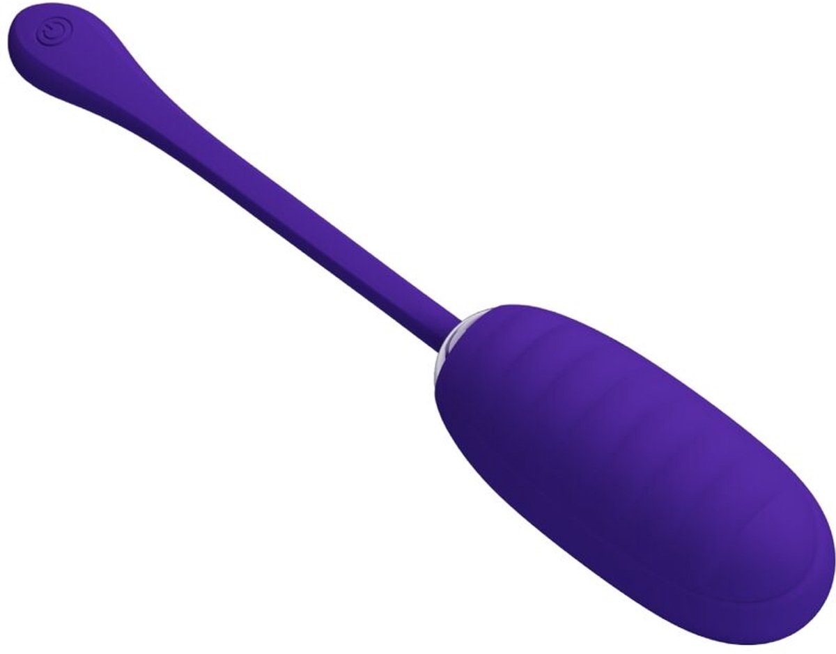 Kirk Oplaadbare Vibrerende Egg Paars