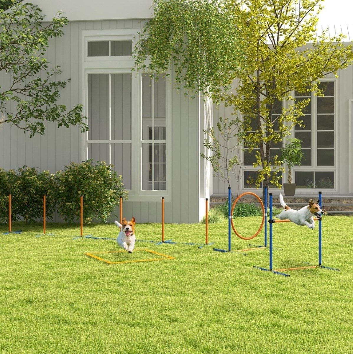MODFU - Honden-Agilityset - Slalom, Horde En Springring - Outdoor - Kunststof - Oranje