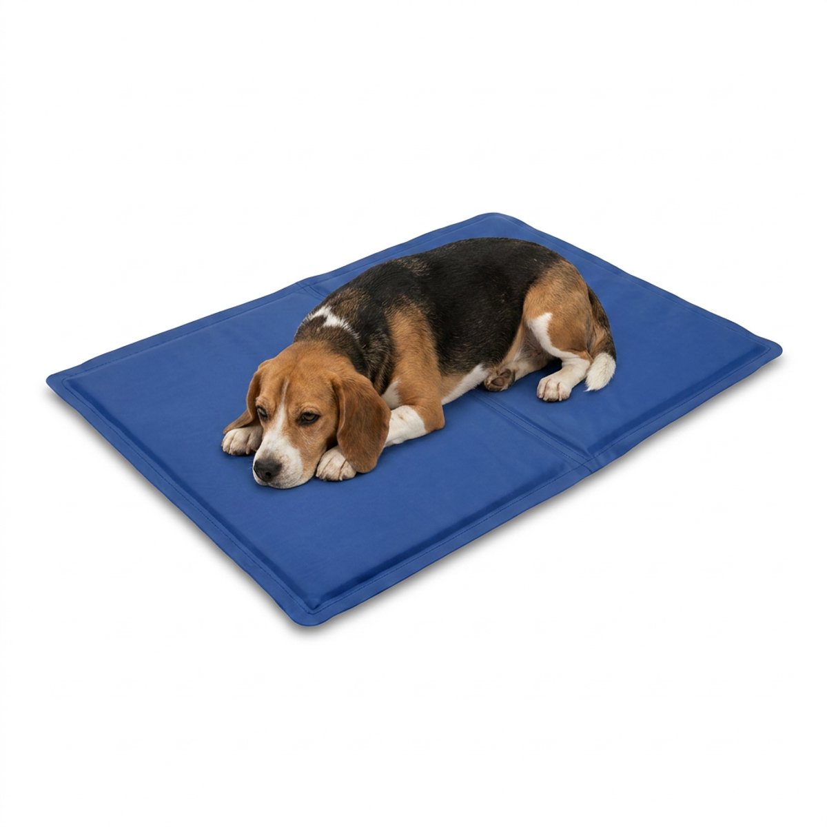 Koelmat Hond S – Zelfkoelende Koelmat voor Honden – Verkoelende Ligmat – Zomer Mat – 65x50 cm