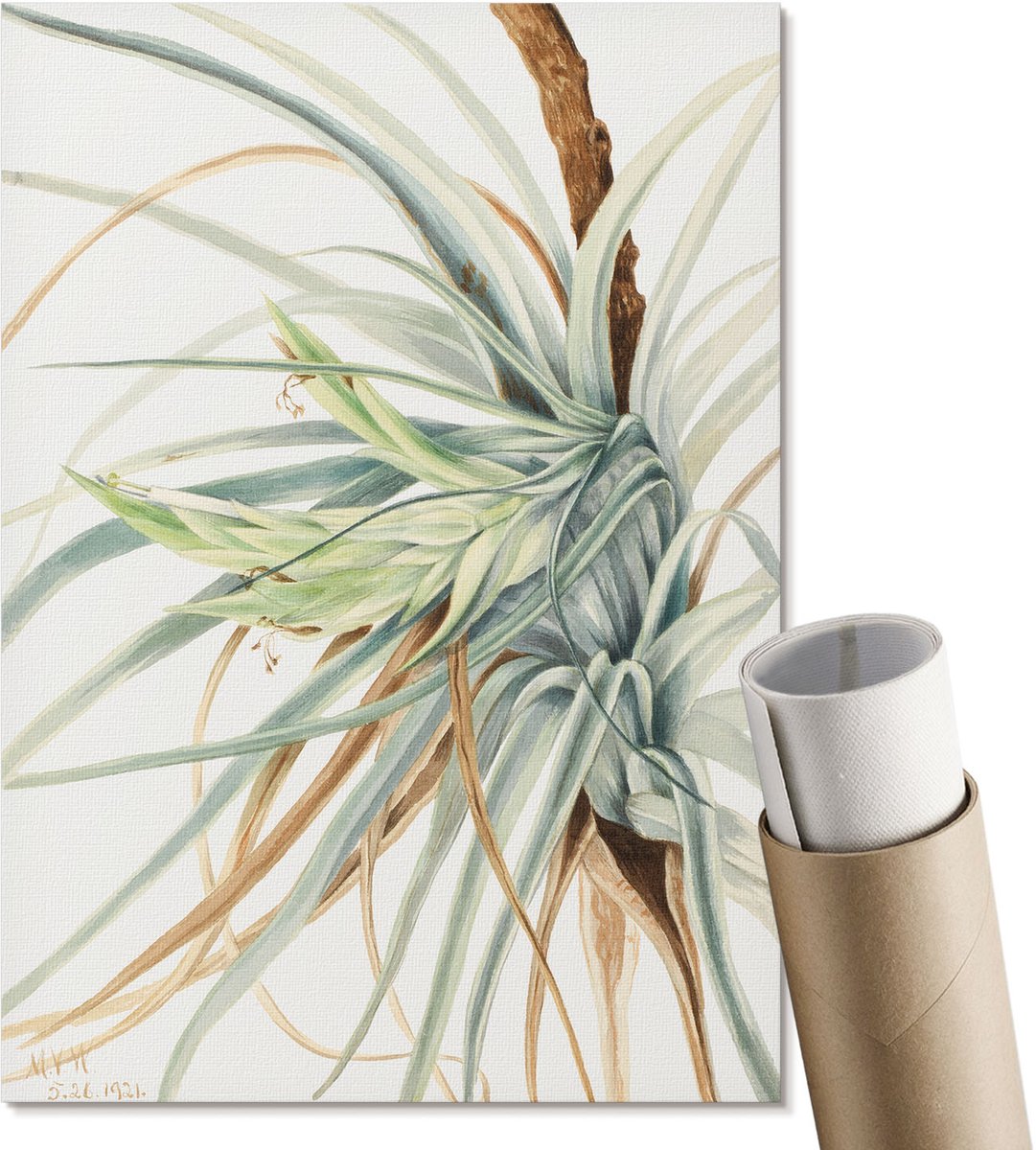 Coloray Polycanvas Poster - Wilde Ananas, Waterverf - A4 - Wit Wandposter - Rechthoek - Kunstposter - Woonkamer, Slaapkamer, Kantoor - Klassiek