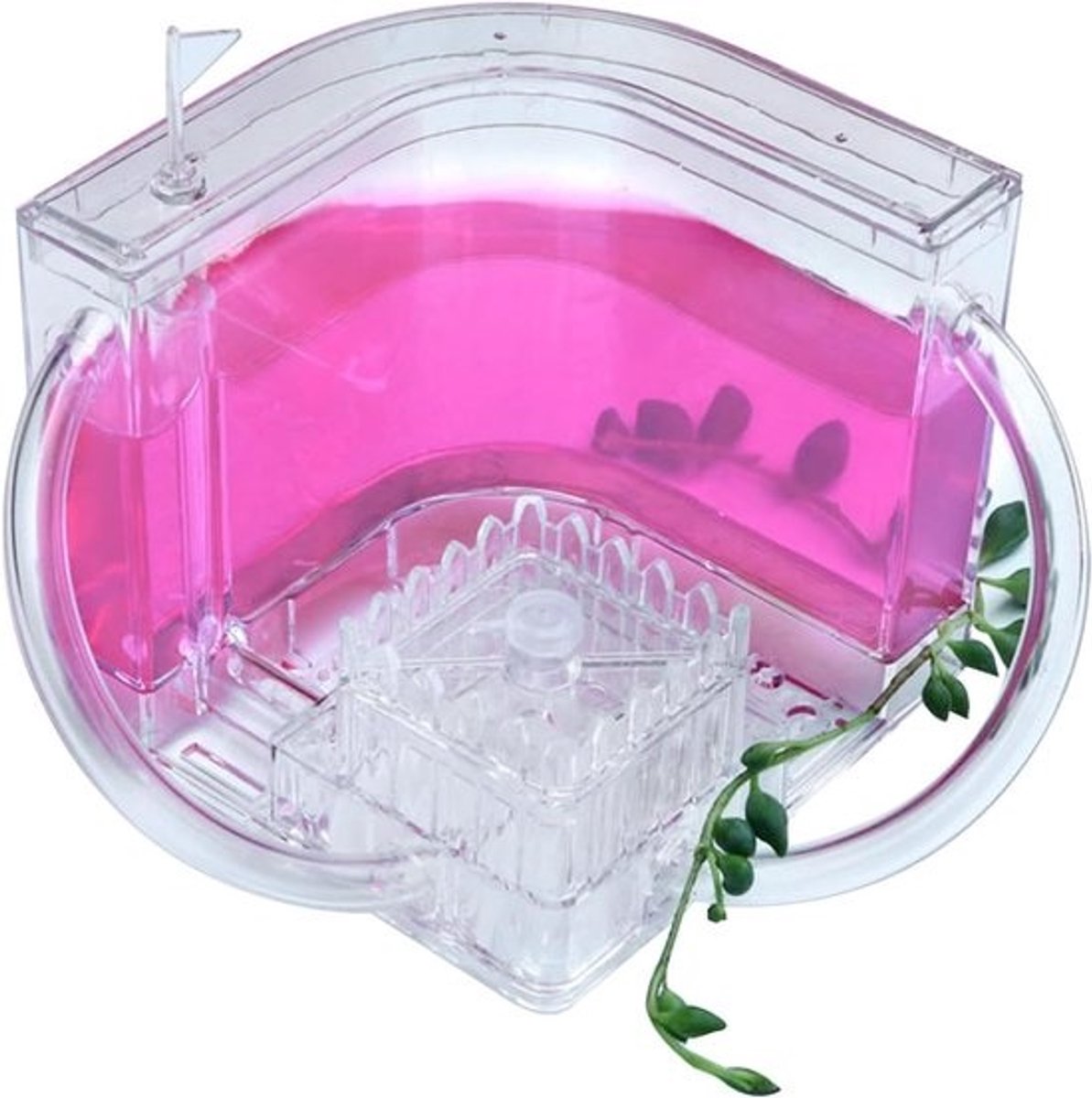Mierenboerderij Nest - Mierenkweekkit Habitat - Mieren Observeren - Doorschijnende Gel - 20 cm - Roze