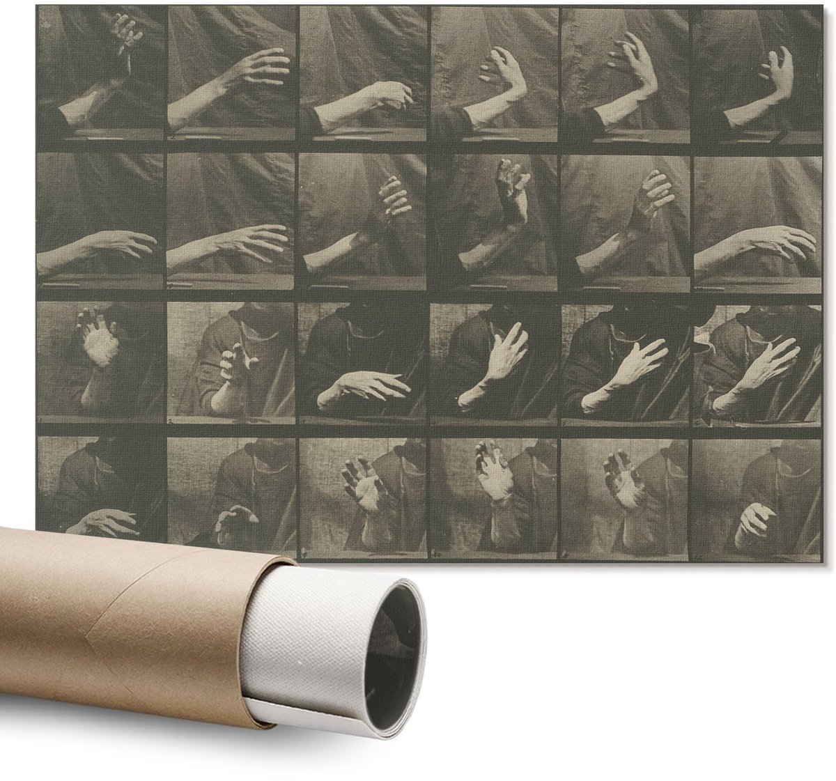 Coloray Polycanvas Wandposter – Dierlijke Voortbeweging, Zwart – A1 – Zwart-Wit Wanddecoratie – Rechthoek – Wandkunst – Slaapkamer – Expressief