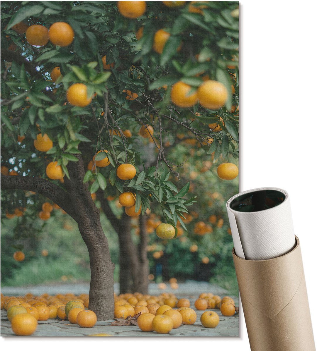 Coloray Polycanvas Wandposter - Sinaasappelboomgaard, Fotografie - A4 - Groen Poster - Rechthoek - Wandkunstwerk - Woonkamer, Slaapkamer, Kantoor - Klassiek