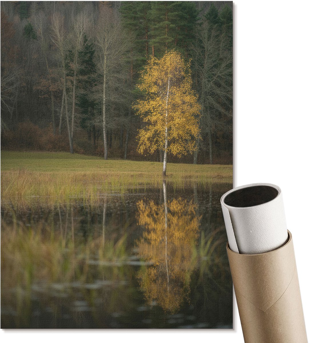 Coloray Polycanvas Wandposter - Herfstlandschap, Fotografie - A4 - Groen Wandposter - Rechthoek - Muurkunst - Woonkamer, Slaapkamer, Kantoor - Klassiek