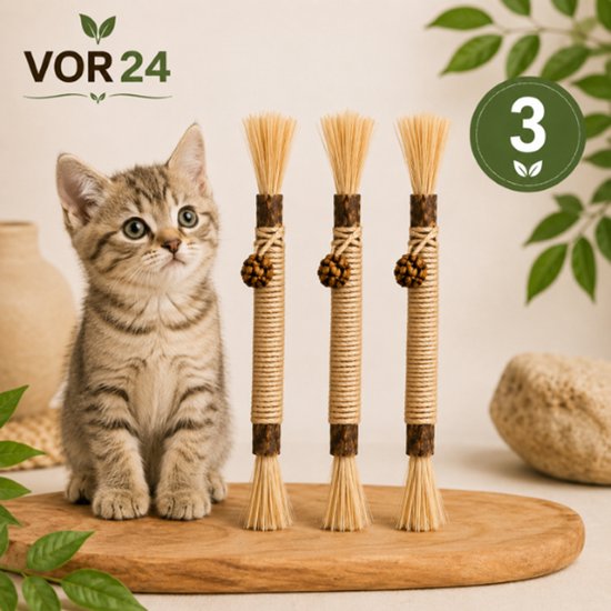 Een kitten zit naast drie matatabi kauwstokjes met touw en een dennenappel op een houten snijplank.