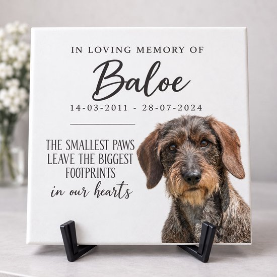 Plaque commémorative 'Baoe' avec photo d'un Teckel à poil dur, texte: 'IN LOVING MEMORY OF Baoe 14-03-2011 - 28-07-2024 THE SMALLEST PAWS LEAVE THE BIGGEST FOOTPRINTS in our hearts'.