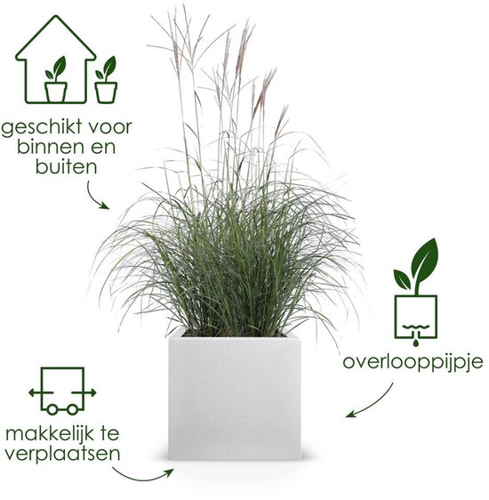 Witte vierkante plantenbak met siergras, geschikt voor binnen en buiten, met overlooppijpje en makkelijk te verplaatsen.