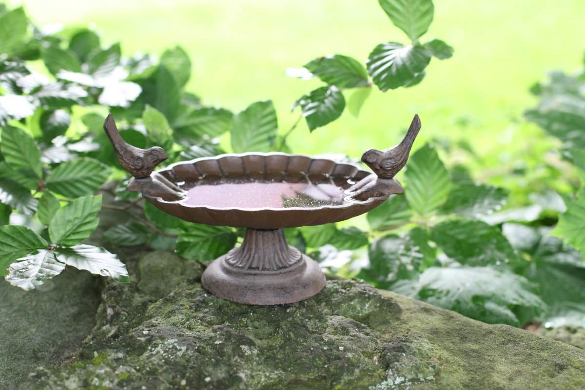 Best For Birds van Best for Birds — cadeau in Wonen & Interieur - foto 2