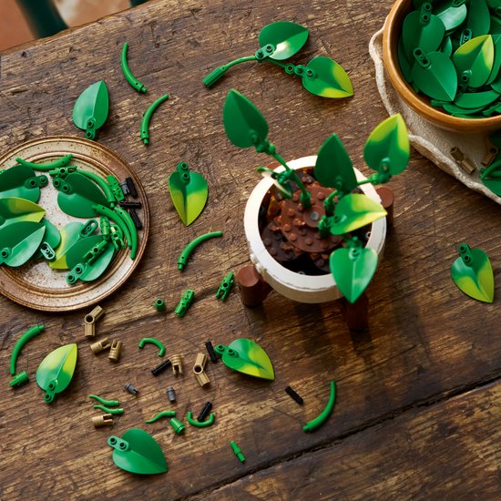 LEGO Botanicals Hangende Drakenklimop Planten Bouwpakket voor Volwassenen - 11512 — cadeau in Spellen & Speelgoed - foto 6