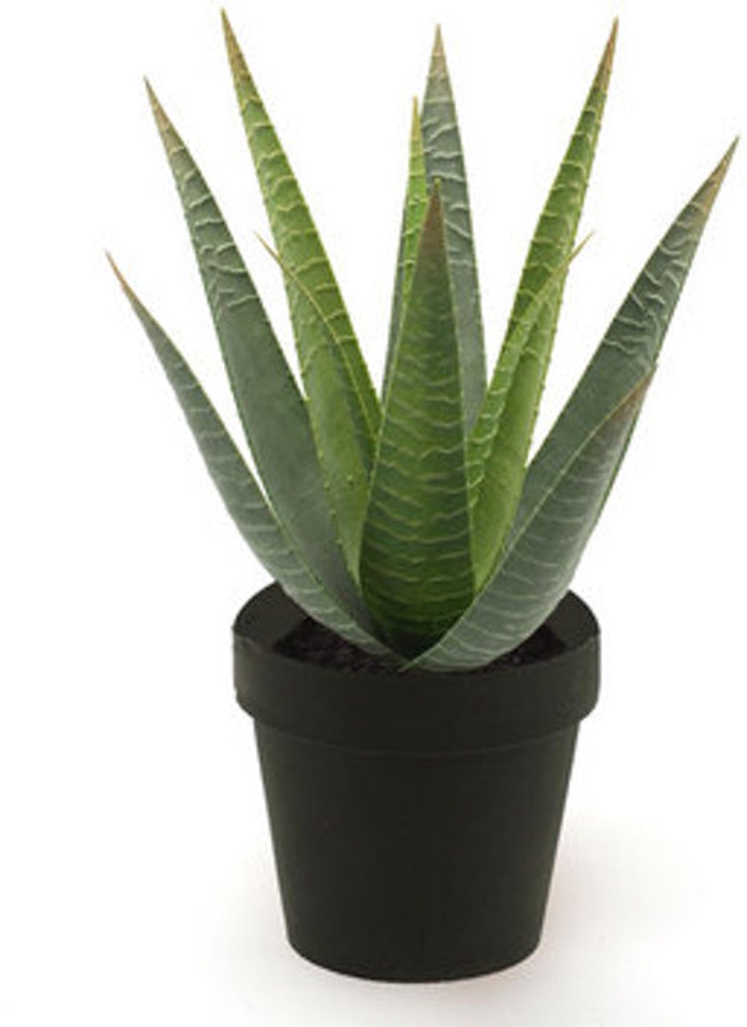 Emerald Kunstplant in pot Aloe Vera 32cm - Kunstplant voor binnen Groen