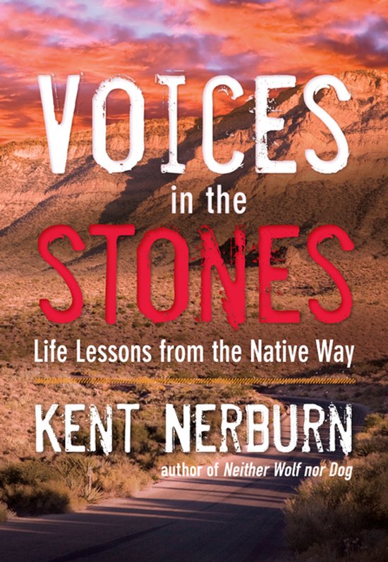 Boekhoes met de titel "Voices in the Stones" met een afbeelding van een woestijnlandschap bij zonsondergang.