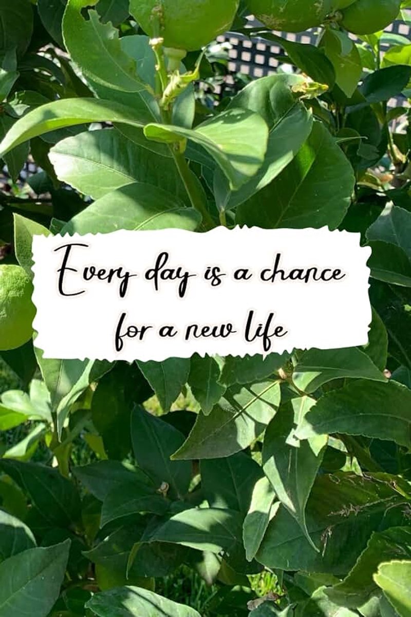 Day Is A Chance For A New Life: Inspiration Collector & On-the-Go Organiser