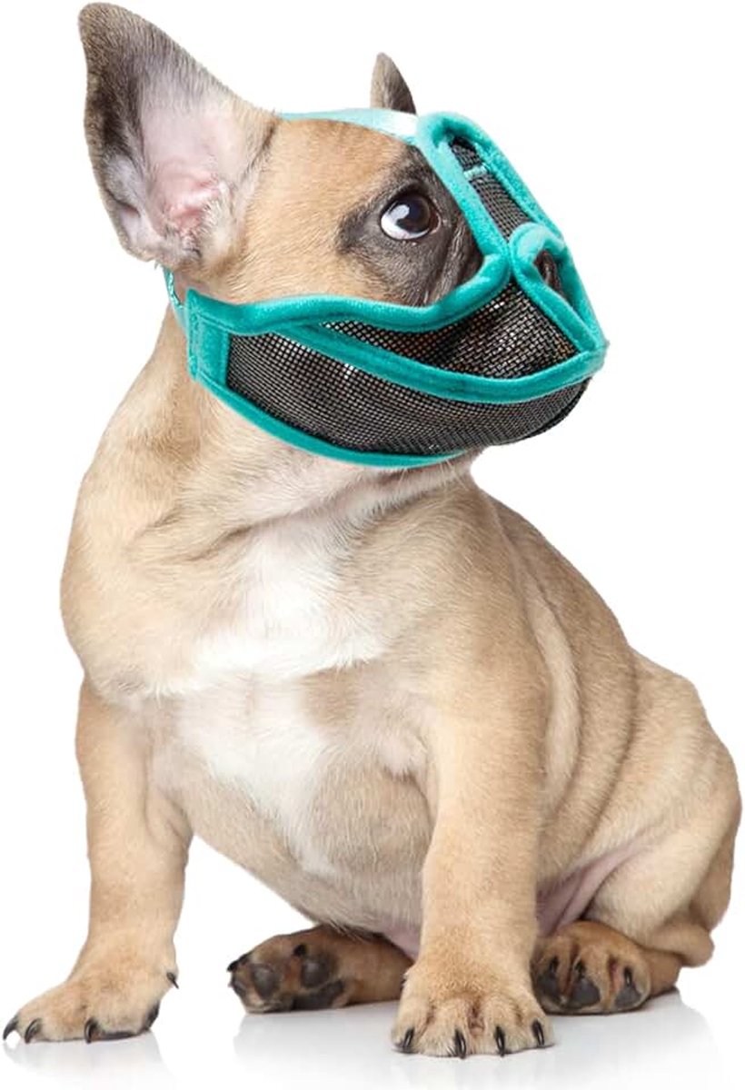 Health Gear S Verstelbare Ademende Korte Snuit Hond Muilkorf Anti-Bijt, Bulldog Tong Water Drinken Training