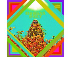 Morgan Delt - Morgan Delt (CD)