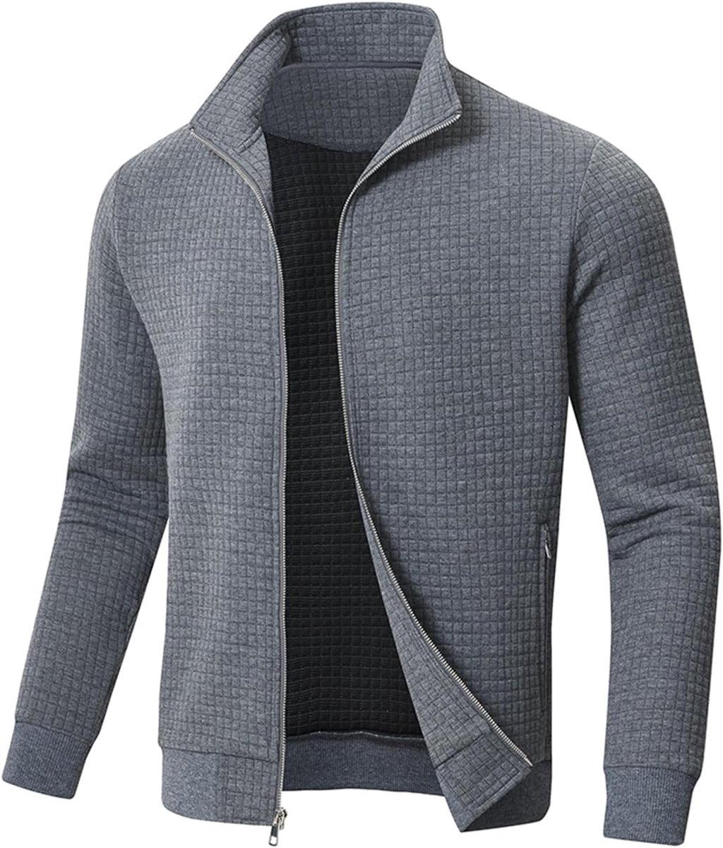 Jas voor heren, overgangsjas, winter, geruit, jacquard, dagelijks gebruik, vrije tijd, lichte jassen met ritszak