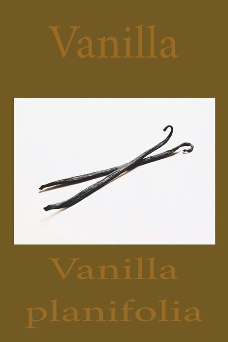 Vanilla: Vanilla planifolia