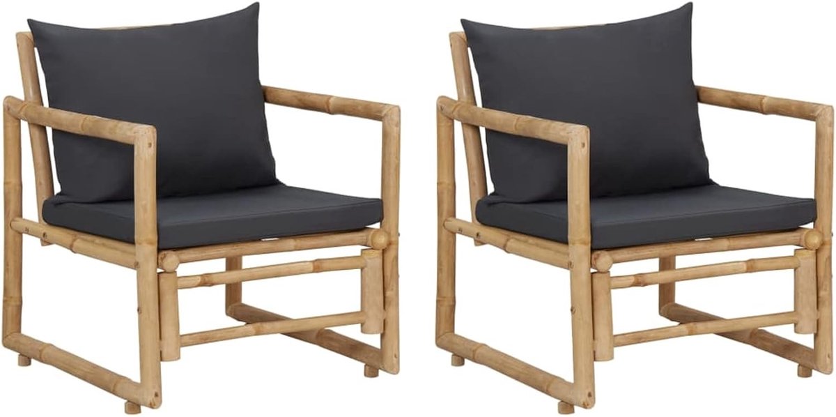 Tuinstoelen met kussen, 2 stuks, van bamboe
