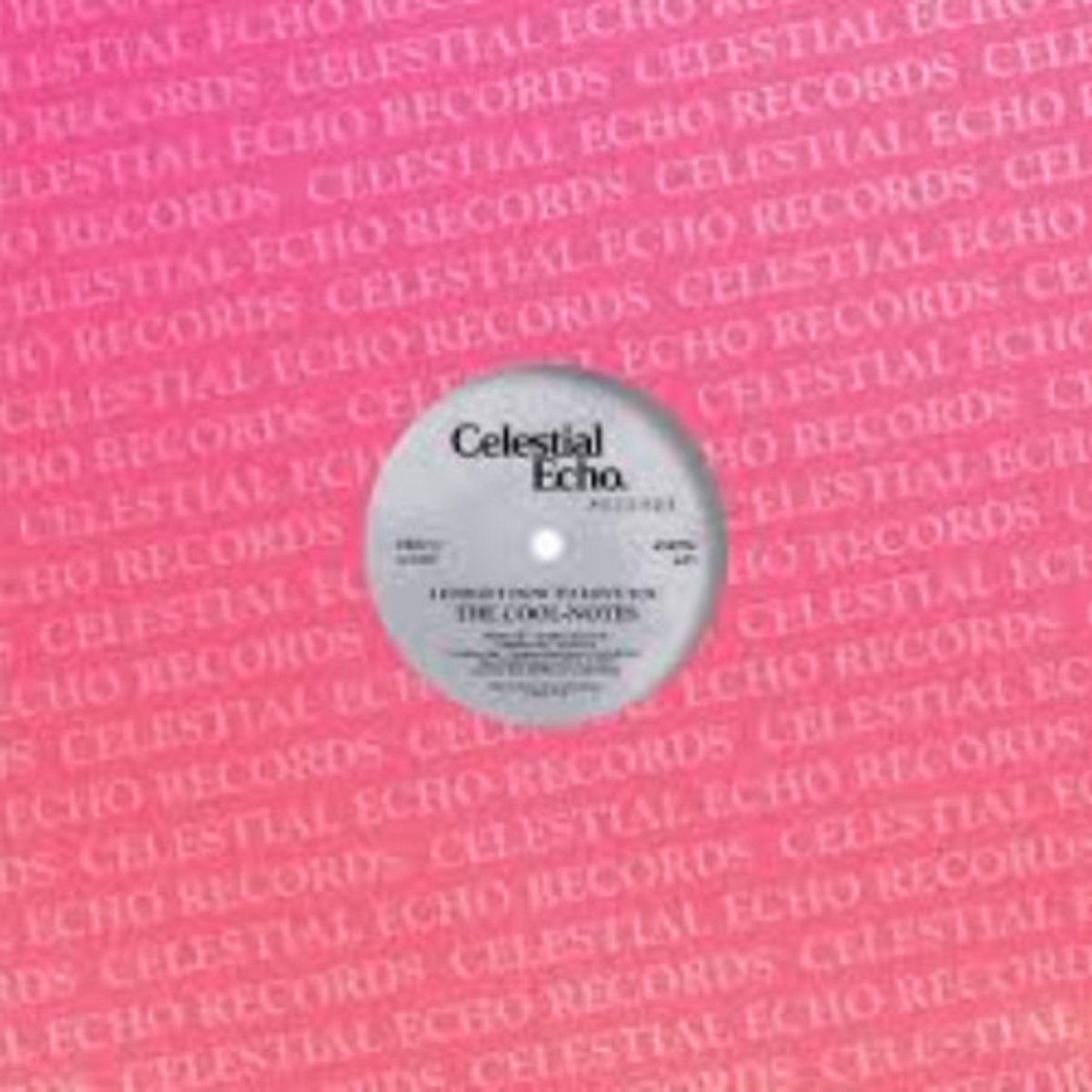The Cool Notes - I Forgot How To Love You