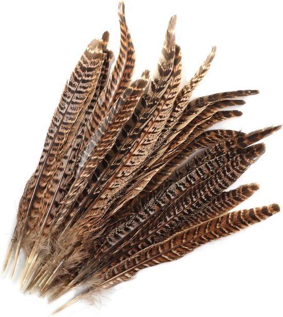 20 stuks natuurlijke fazantveren voor handwerk en decoratie, 25-30 cm