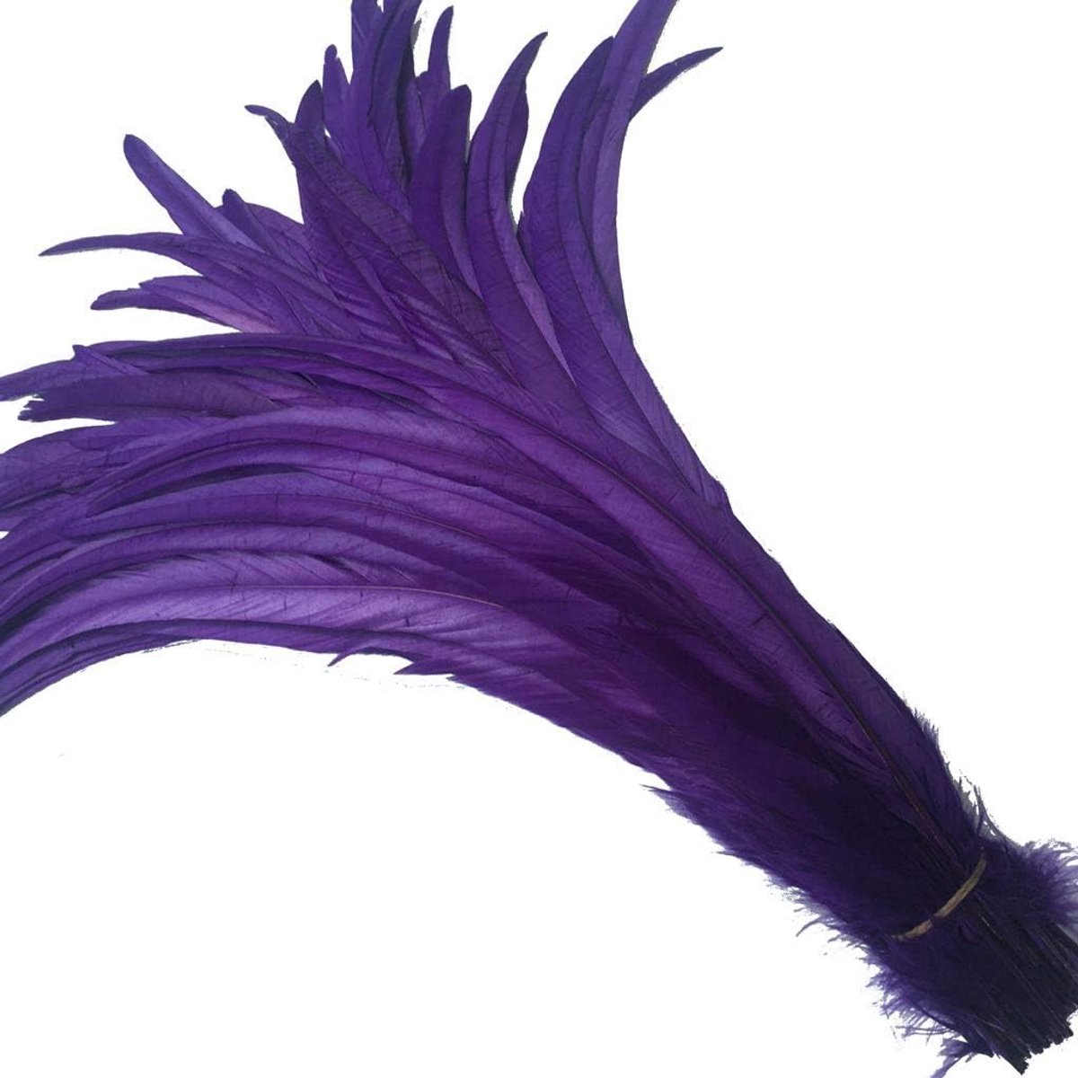 12-14 inch Haan Staart Veer Gebruik voor Hoeden Kostuum Decoratie Pack van 50