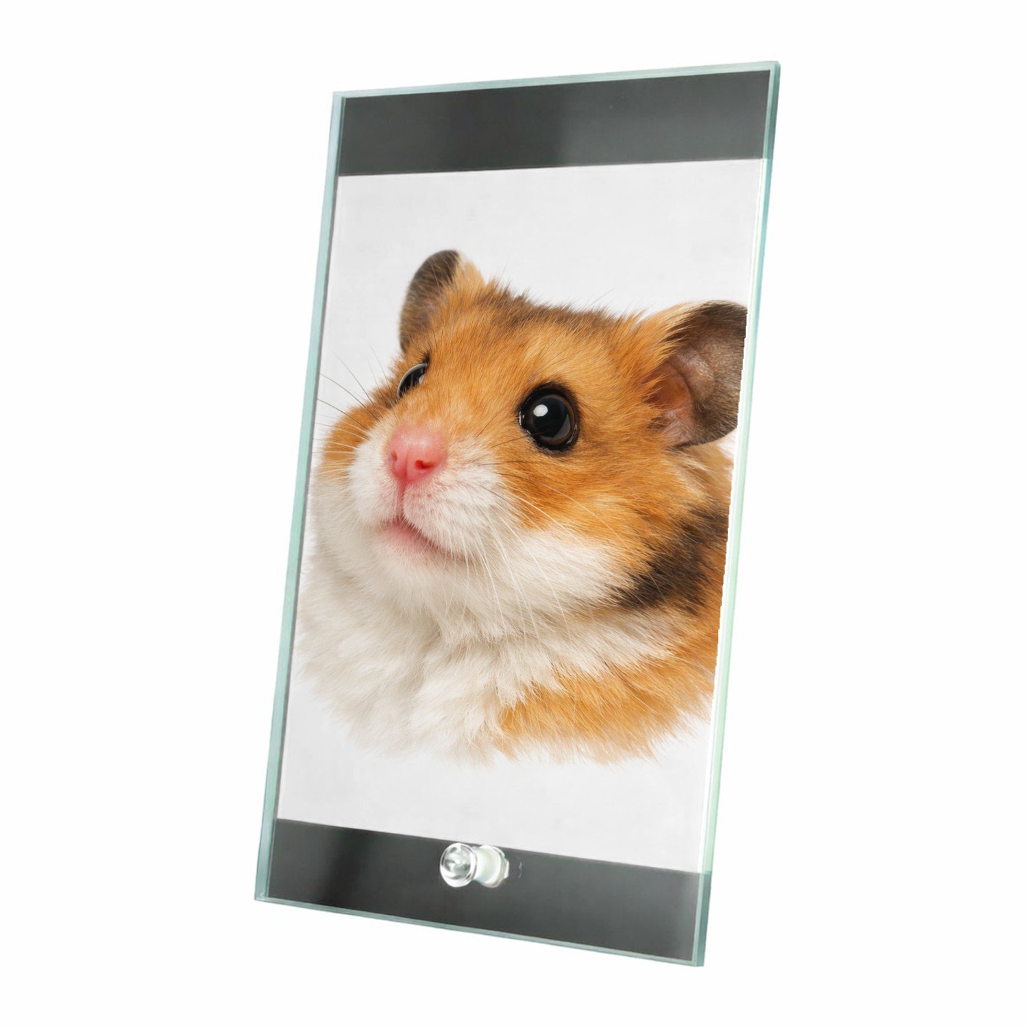 Mr Cadeautjes Glasframe 15 x 23 - design Monumentaal huisdierportret met warme close-up en diepe donk | cadeau Wit