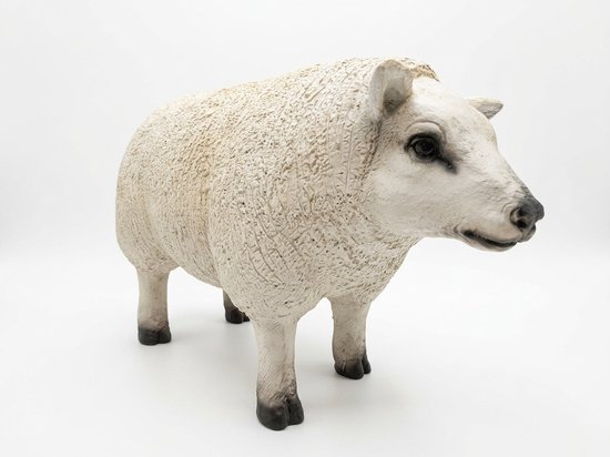 Realistisch tuinbeeld van een staand Texels schaap met een getextureerde witte vacht en zwarte details.