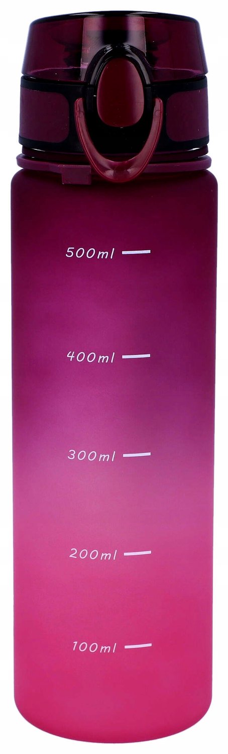 Ideenwelt Sportfles 600ml Motiverende Waterfles met Maatstreep - Roze