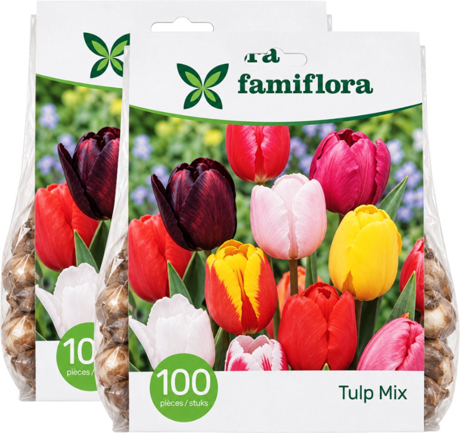 Famiflora Tulipa Mix 2 x 100 - 200 bloembollen - Overvloed aan tulpen voor een vrolijke en levendige tuin - Creëert een kleurige en energieke buitenruimte die het voorjaar viert
