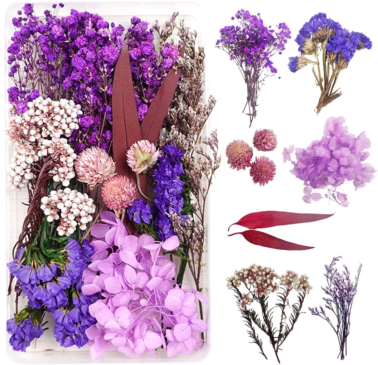 Famanu Mini droogbloemen set met 420 stuks voor knutselen en kunstprojecten