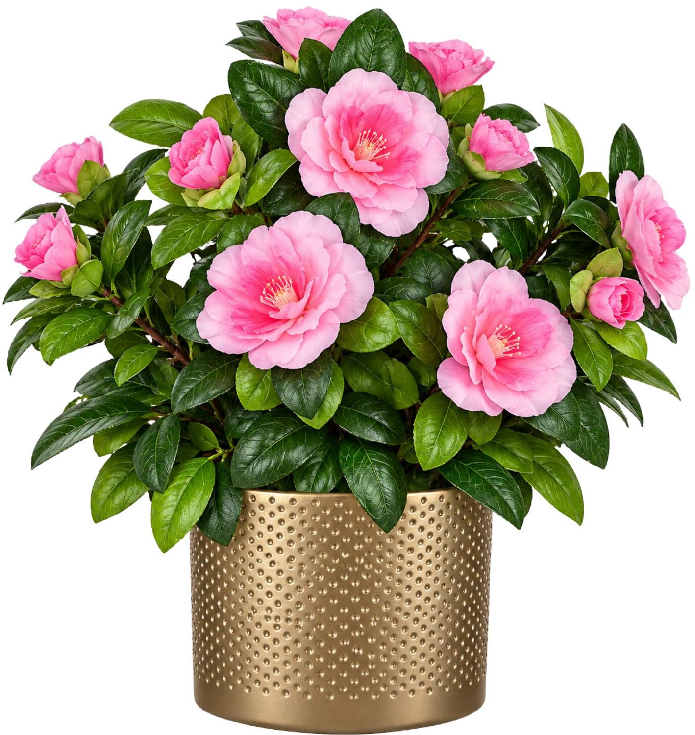 Mica Decorations Kunstplant - Azalea roze - H27 cm - in gouden bloempot - keramiek - complete set van pot en plant - decoratie stuk Goudkleurig