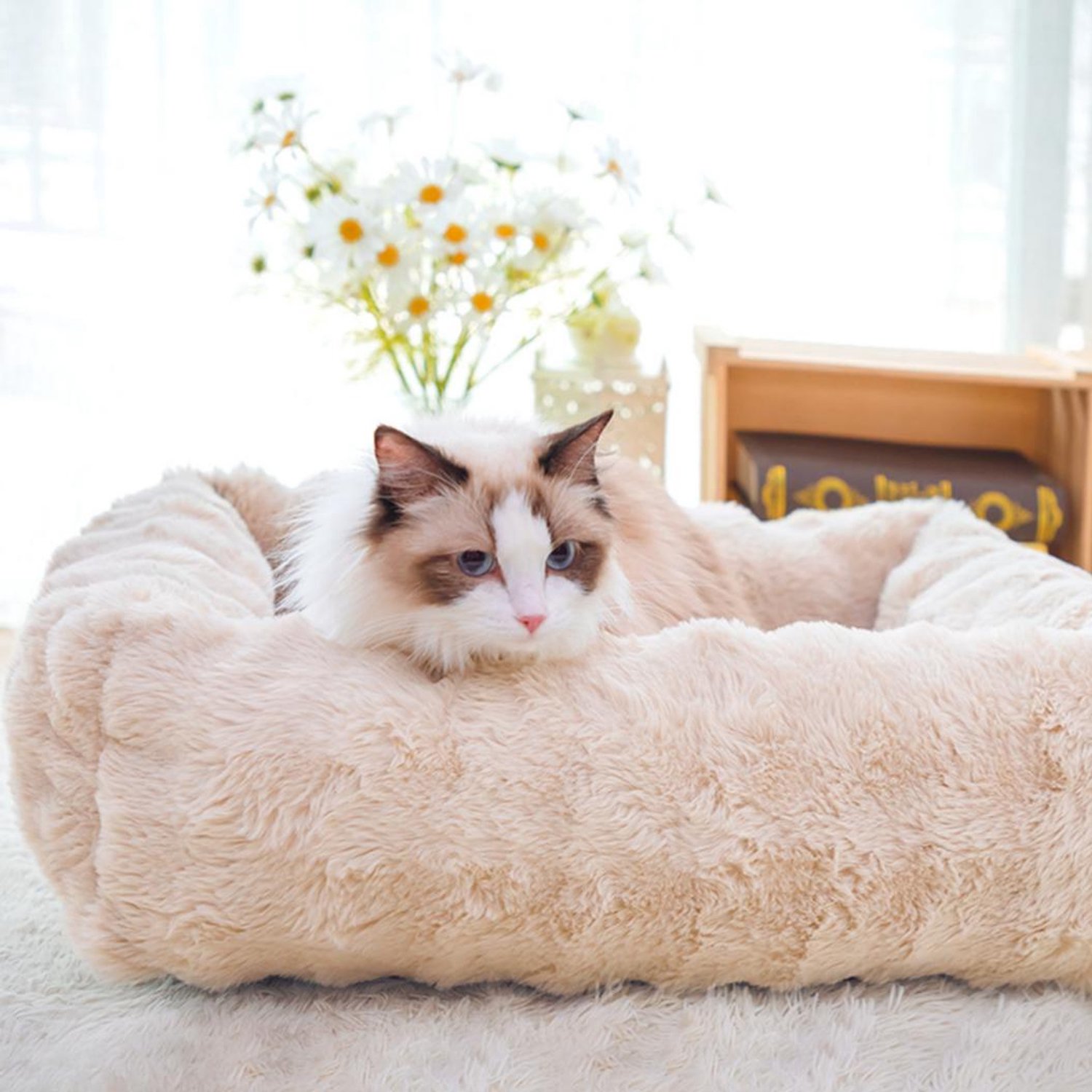 Kattenmand Pluche – Extra Zachte en Warme Huisdierenmand met Verhoogde Rand – Dikke PP-Katoenvulling – Knusse Slaap- en Rustplek voor Katten en Kleine tot Middelgrote Honden – 55 × 42 × 20 cm