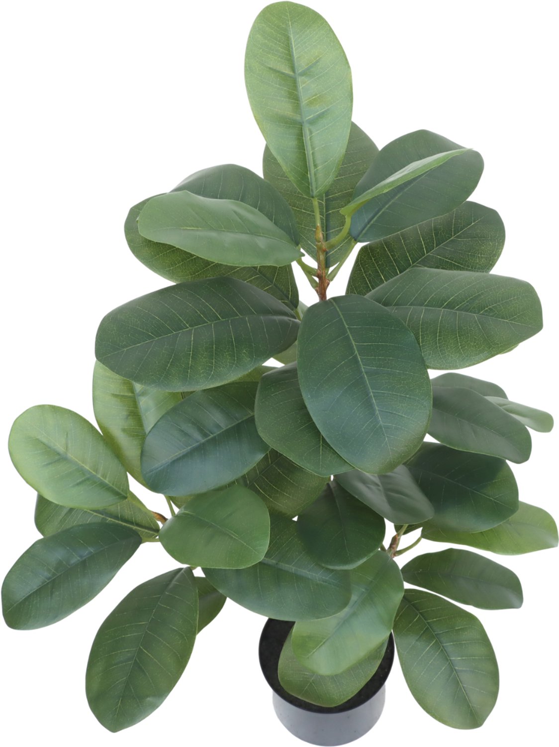 PrettyPlants Ficus kunstplant 80cm | Nep Rubberplant | Kleine kunst Ficus | Nep Ficus | Kunstplant voor binnen Groen
