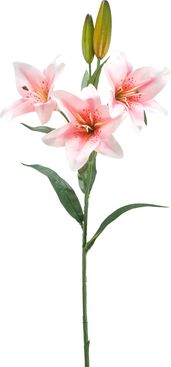 Easyplants | Kunstbloem Lelie 78 cm wit/roze | Zijde | Nepbloemen | roze | Onderhoudsvrij | Kant-en-klaar